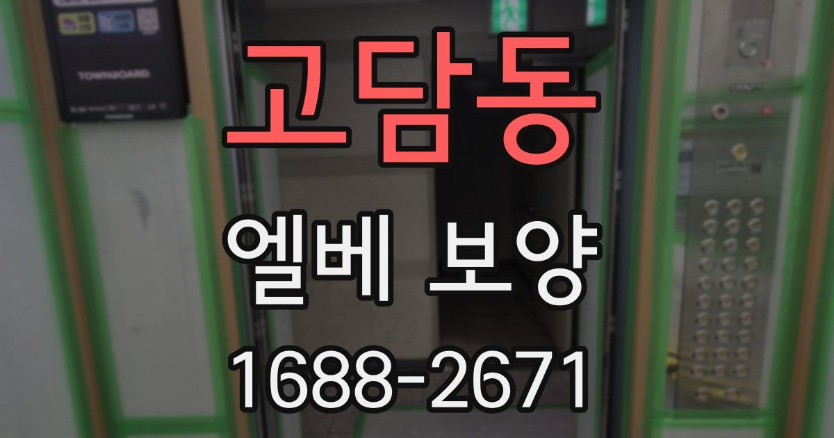 고담동 엘베 보양
