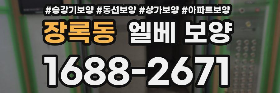 장록동 엘베 보양