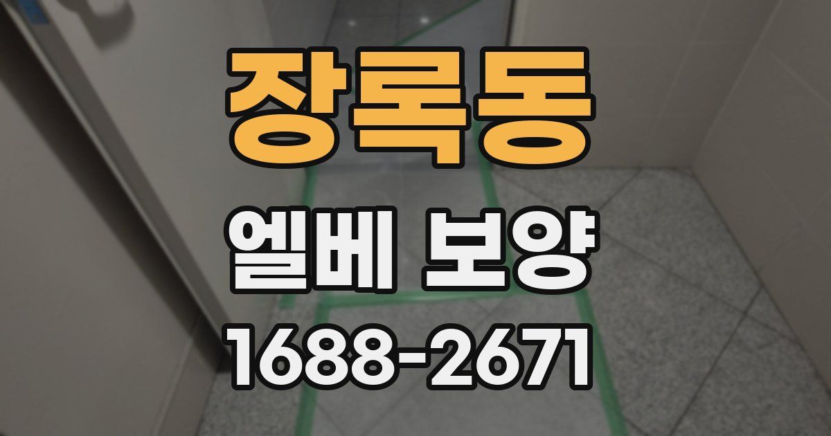 장록동 엘베 보양