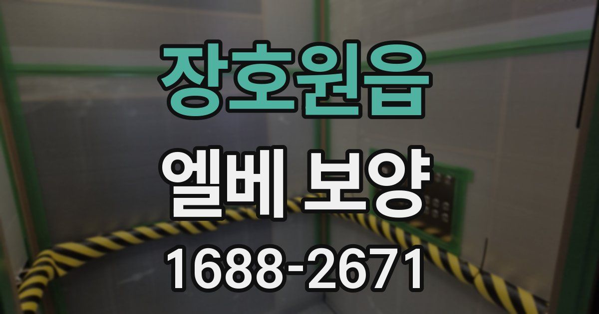 장호원읍 엘베 보양