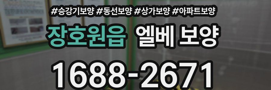 장호원읍 엘베 보양