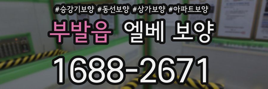 부발읍 엘베 보양