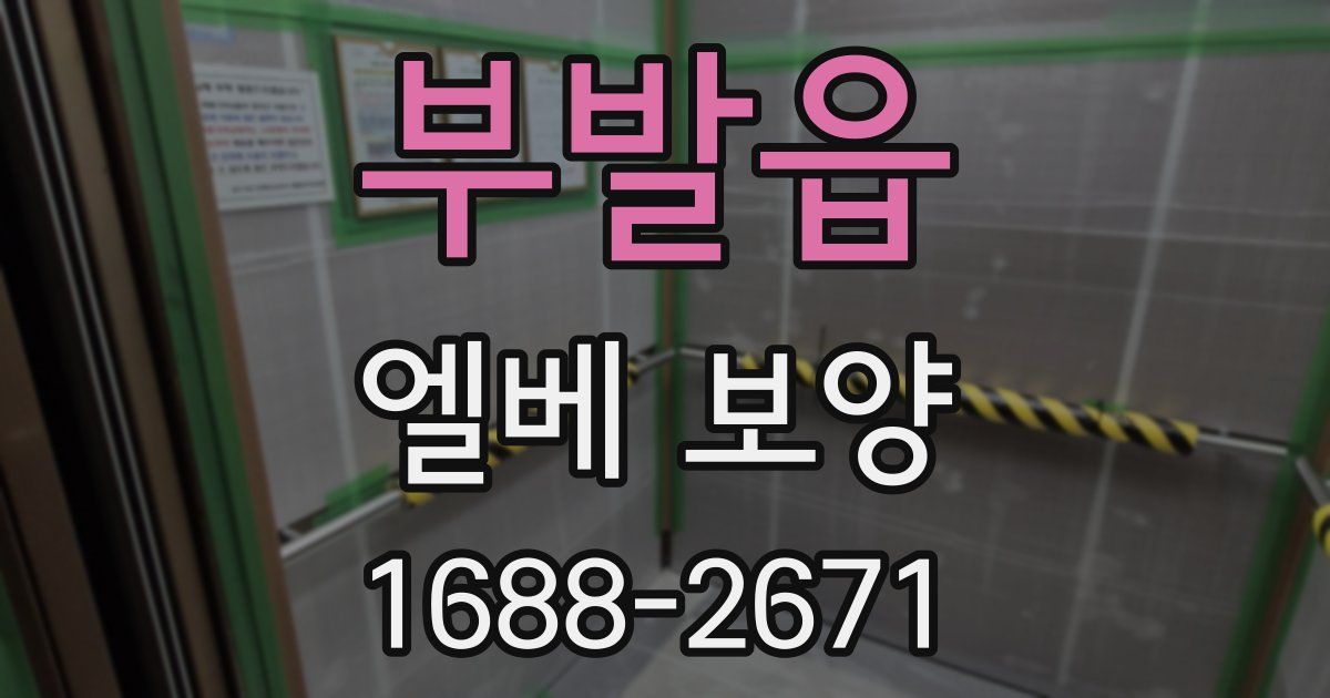 부발읍 엘베 보양