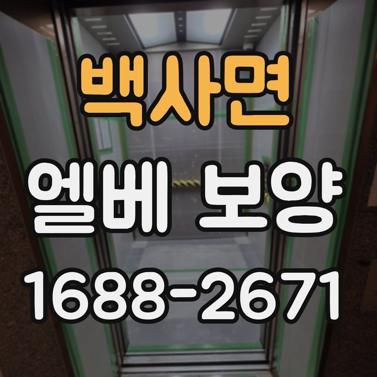 백사면 엘베 보양 시트와 판넬을 구분해 쓰는 적용 기준