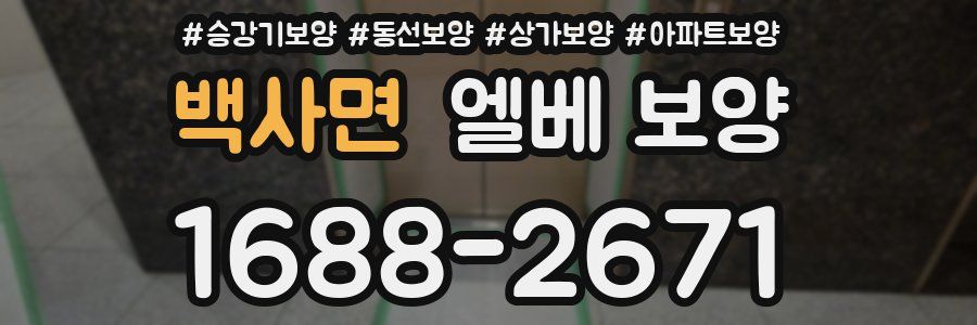 백사면 엘베 보양