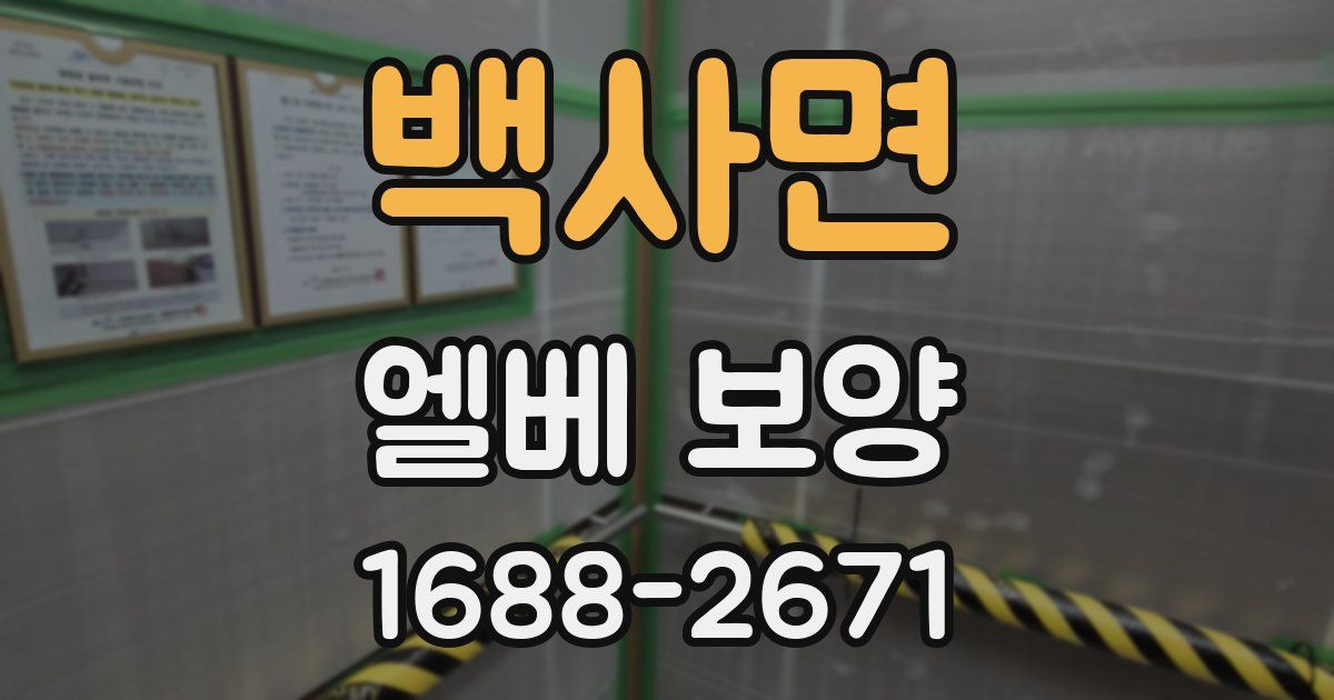 백사면 엘베 보양