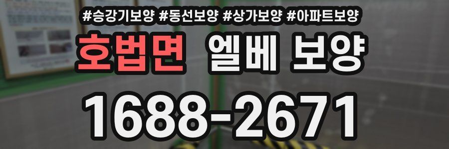 호법면 엘베 보양