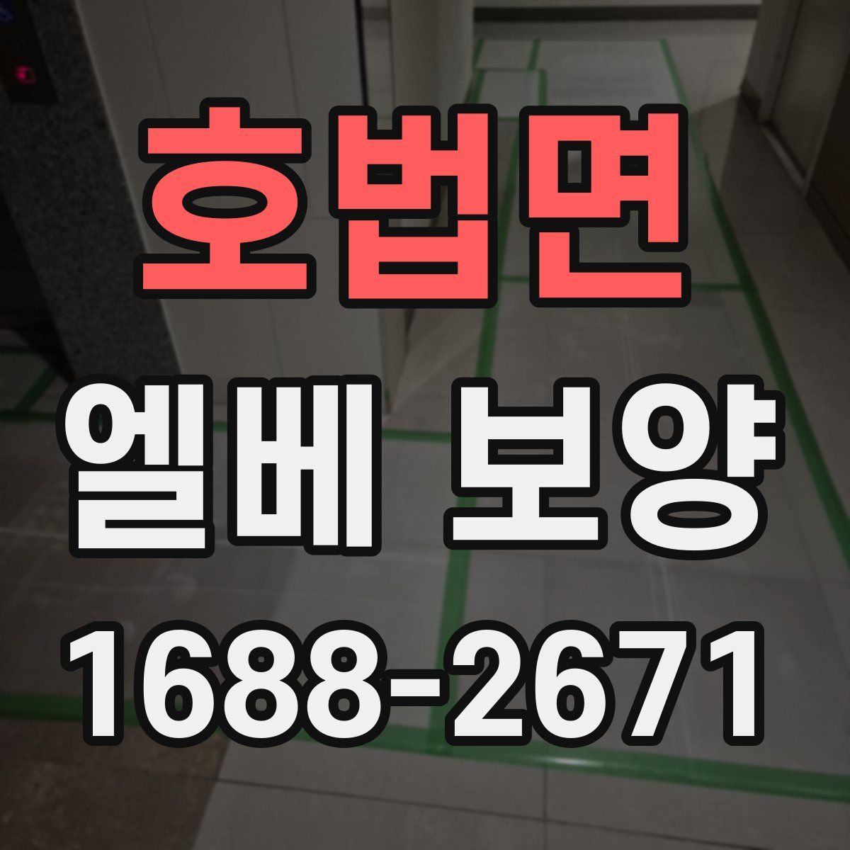호법면 엘베 보양
