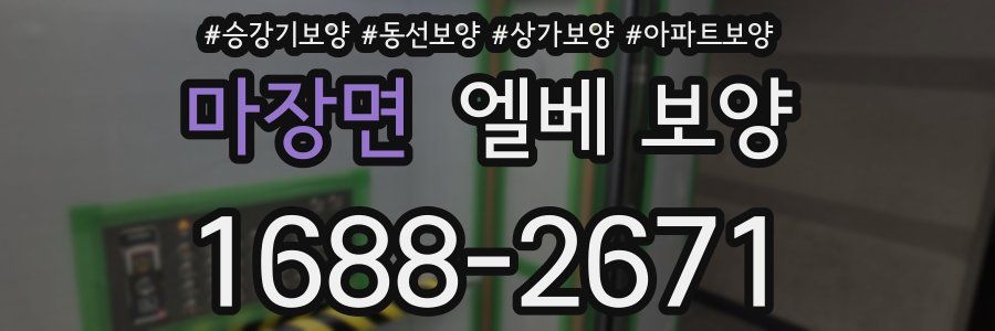 마장면 엘베 보양