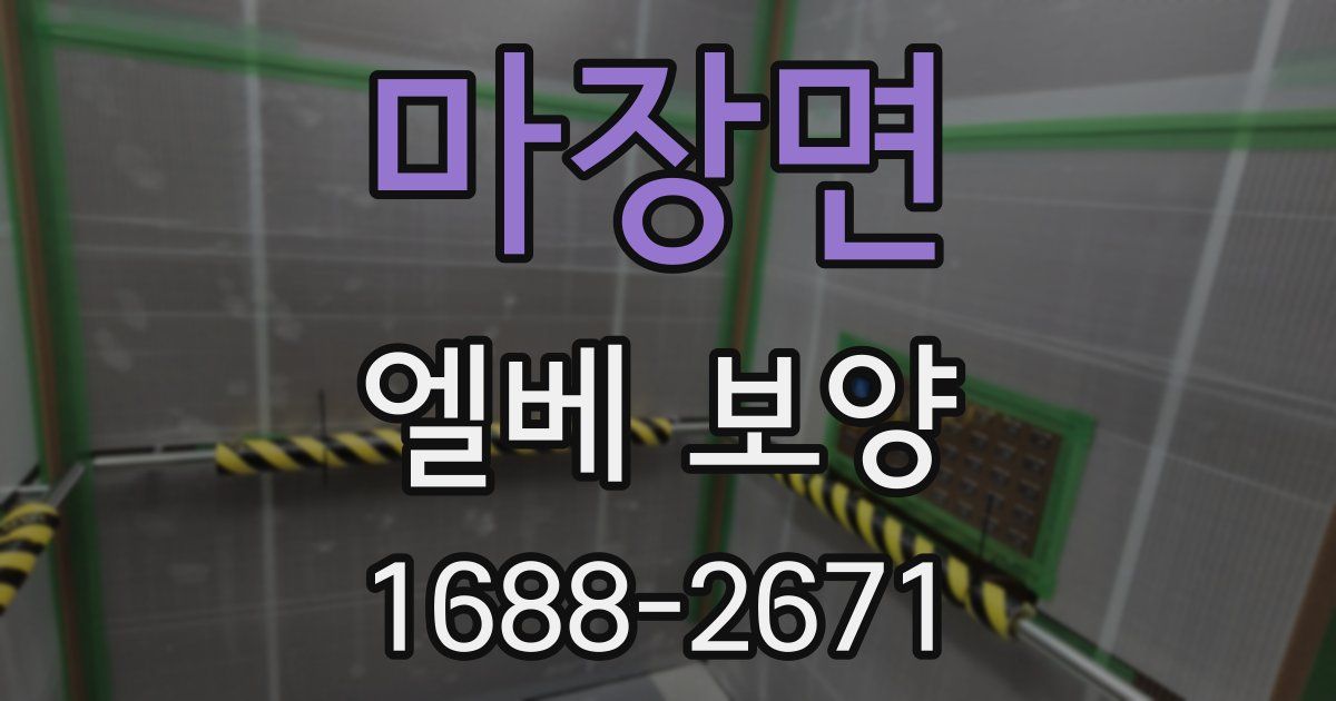 마장면 엘베 보양