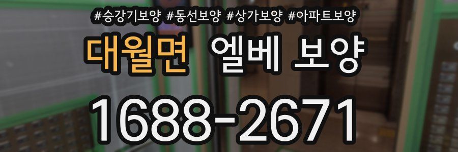 대월면 엘베 보양