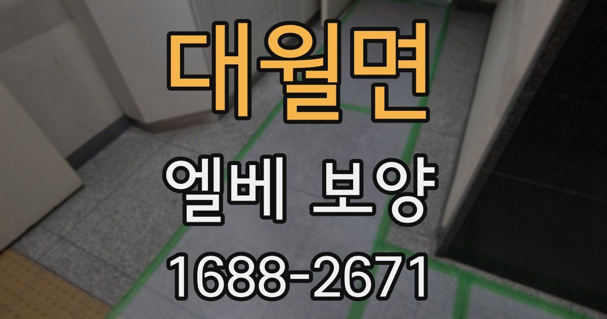 대월면 엘베 보양