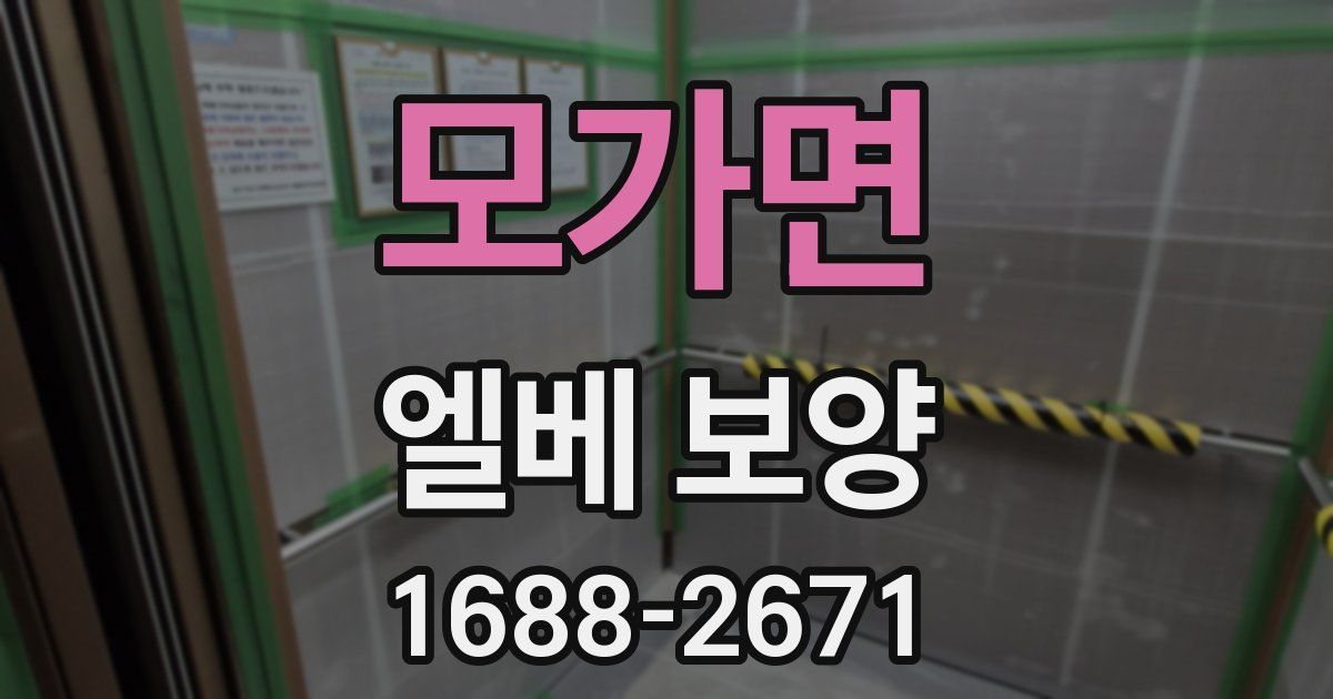 모가면 엘베 보양
