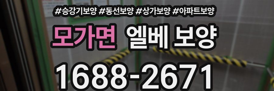 모가면 엘베 보양