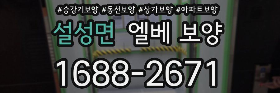 설성면 엘베 보양