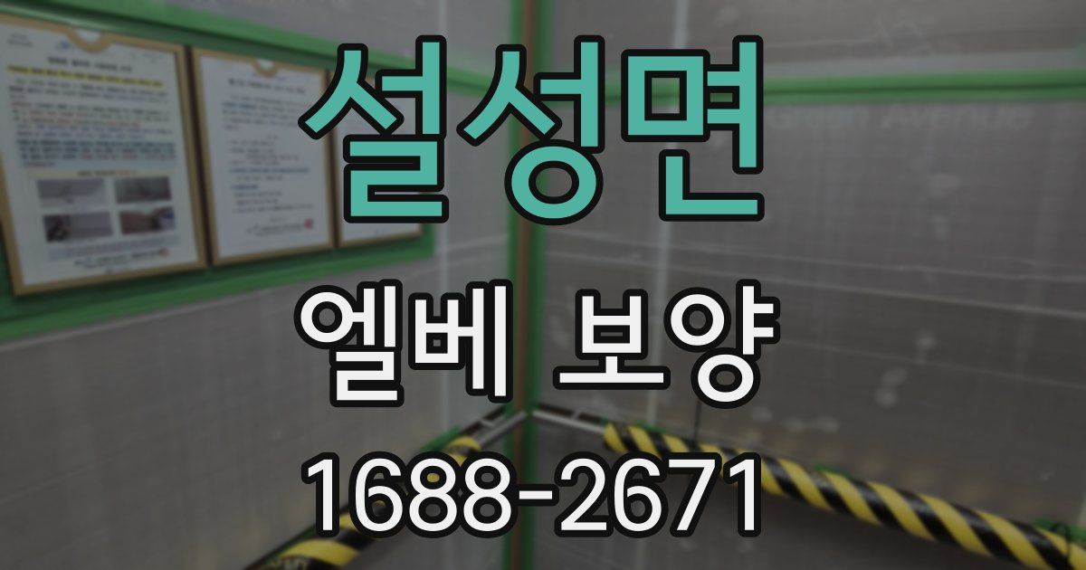설성면 엘베 보양