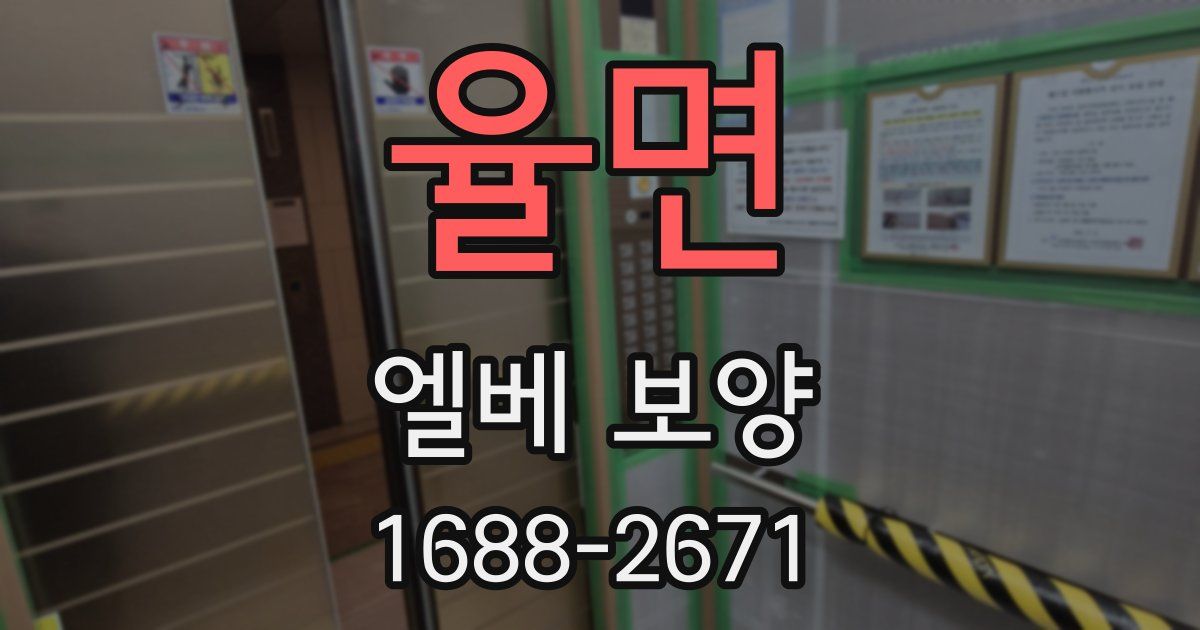 율면 엘베 보양
