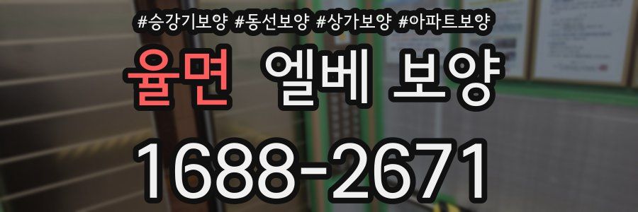 율면 엘베 보양