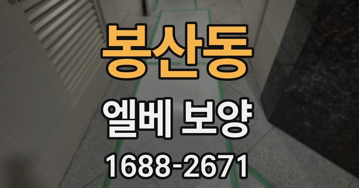 봉산동 엘베 보양