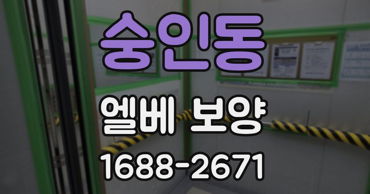 숭인동 엘베 보양
