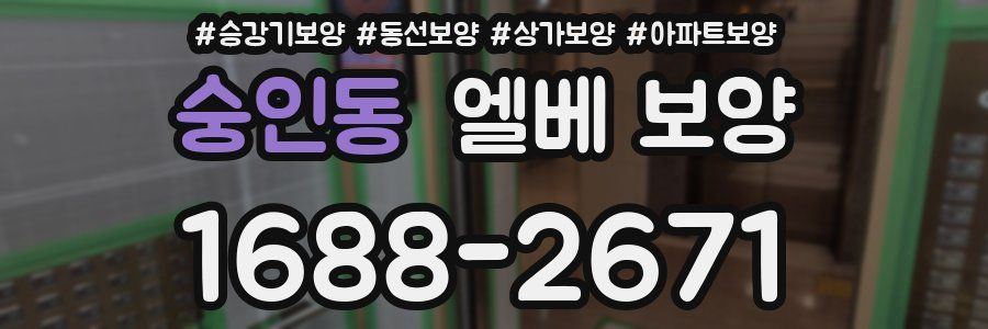 숭인동 엘베 보양