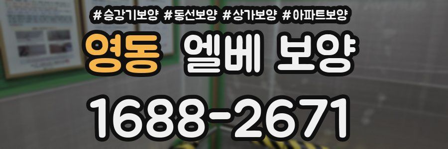 영동 엘베 보양