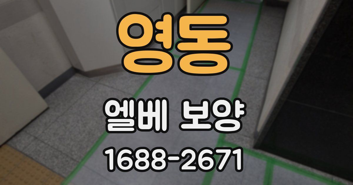 영동 엘베 보양