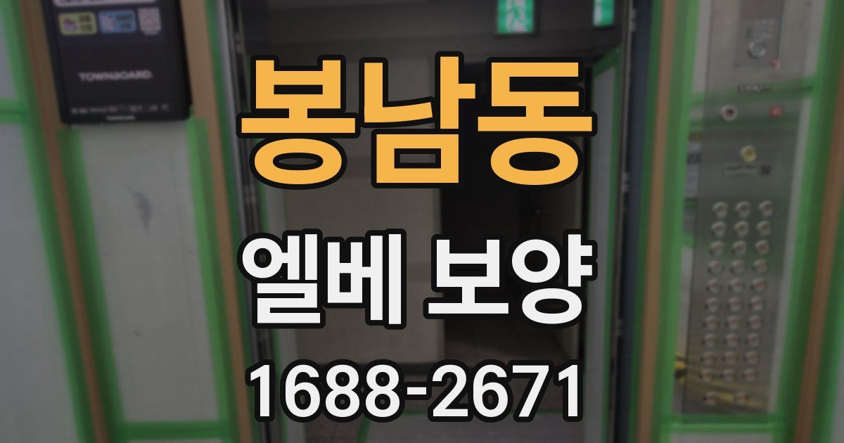 봉남동 엘베 보양