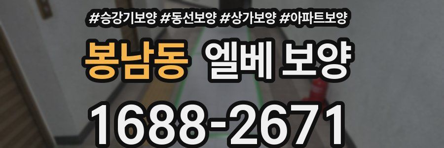 봉남동 엘베 보양