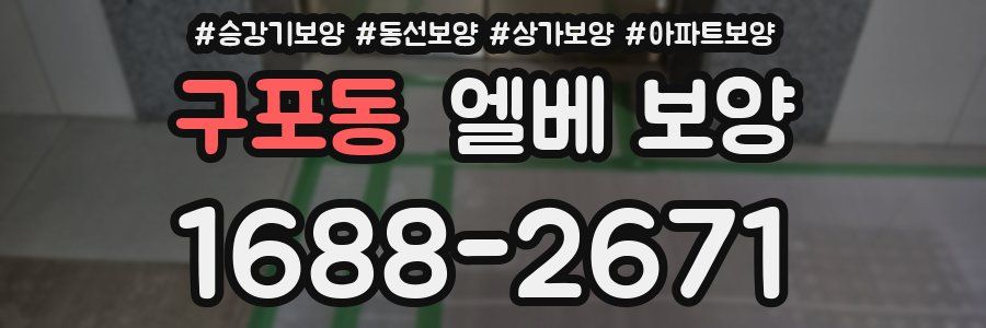 구포동 엘베 보양