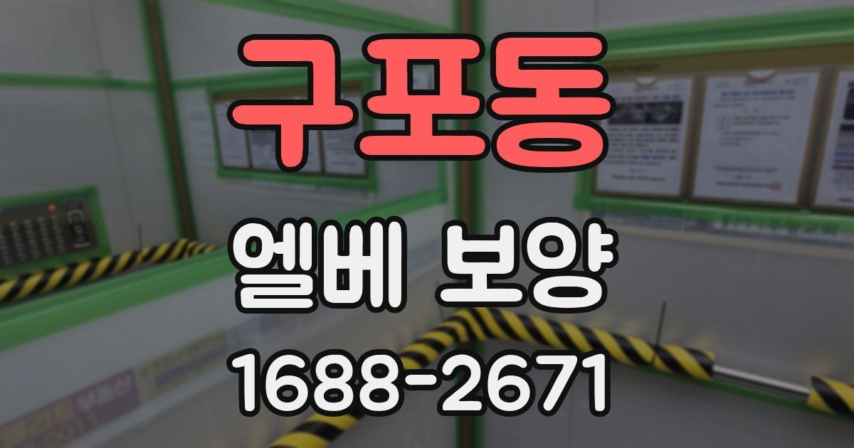 구포동 엘베 보양