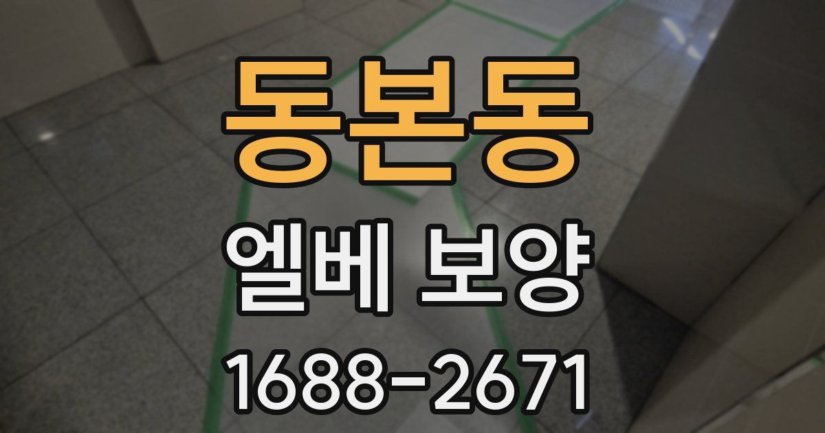 동본동 엘베 보양