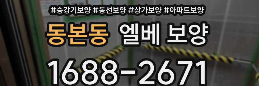 동본동 엘베 보양