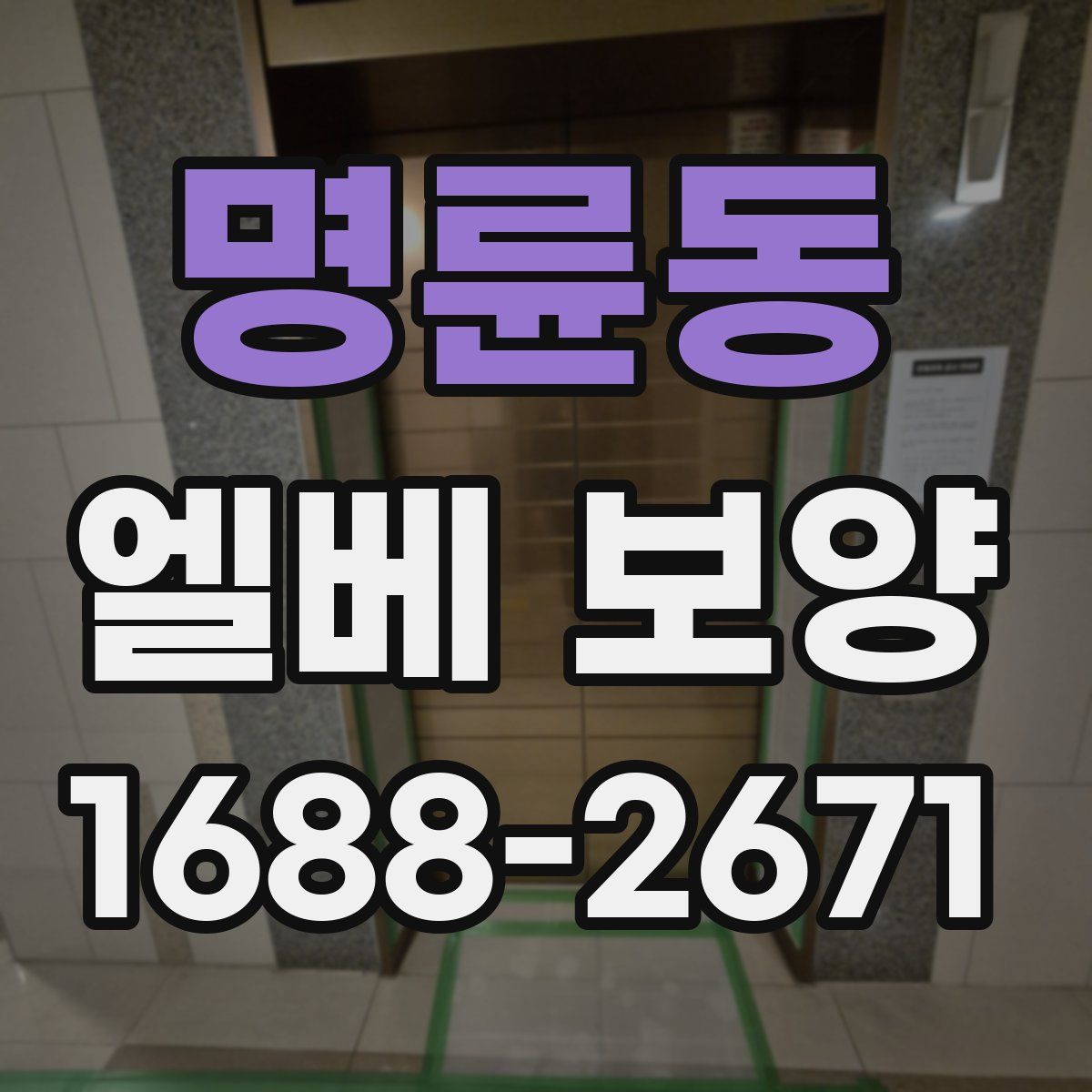 명륜동 엘베 보양