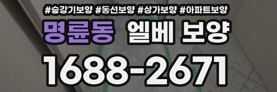 명륜동 엘베 보양