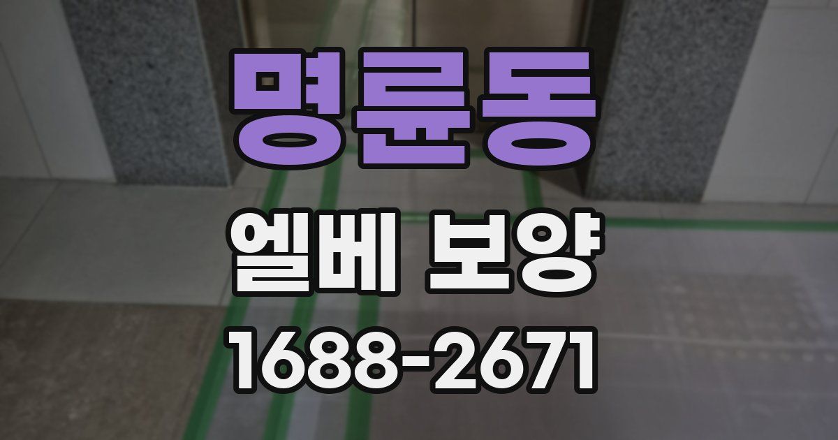 명륜동 엘베 보양