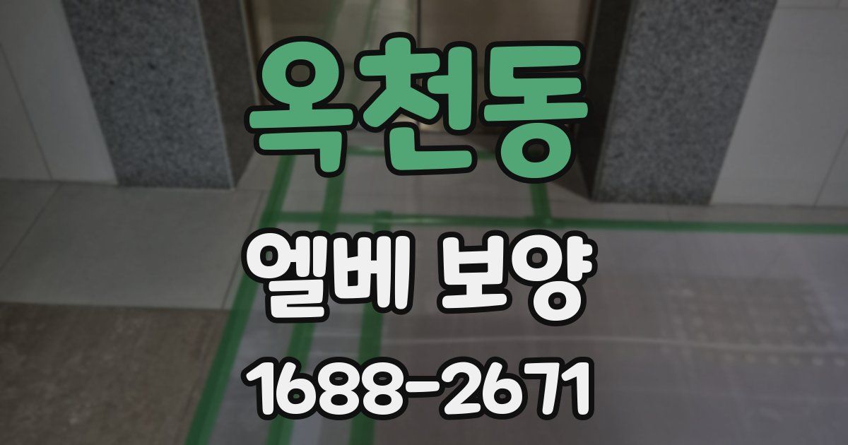 옥천동 엘베 보양
