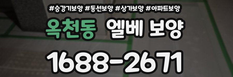 옥천동 엘베 보양