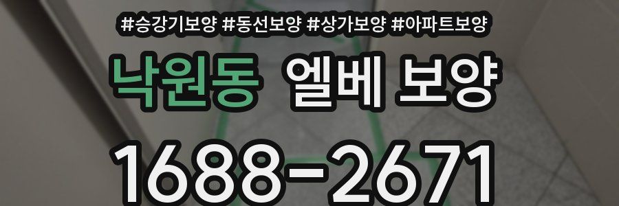 낙원동 엘베 보양