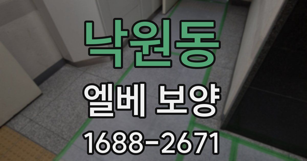 낙원동 엘베 보양