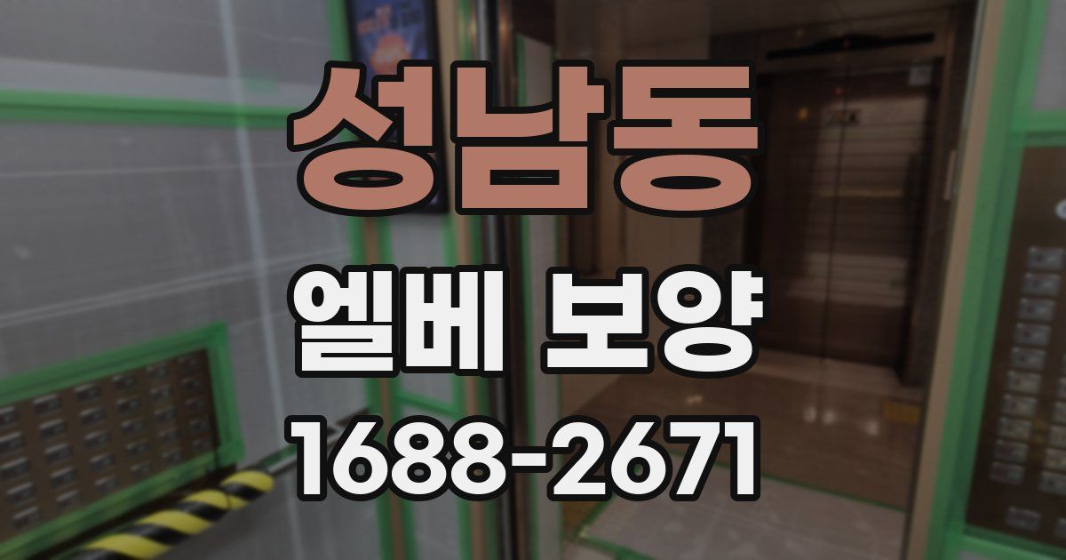 성남동 엘베 보양