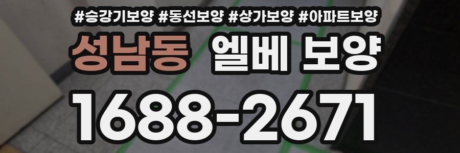 성남동 엘베 보양