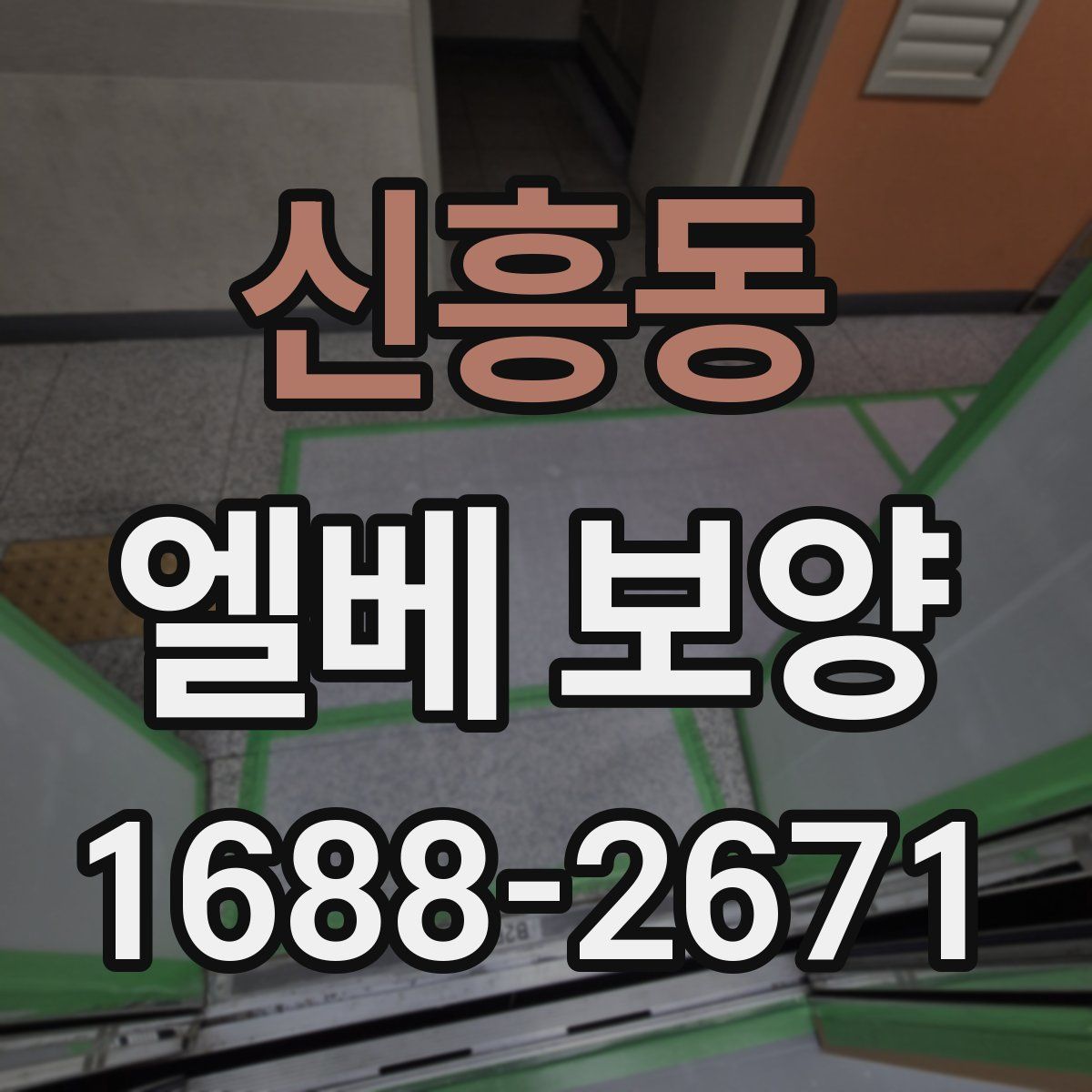 신흥동 엘베 보양