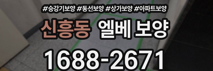 신흥동 엘베 보양