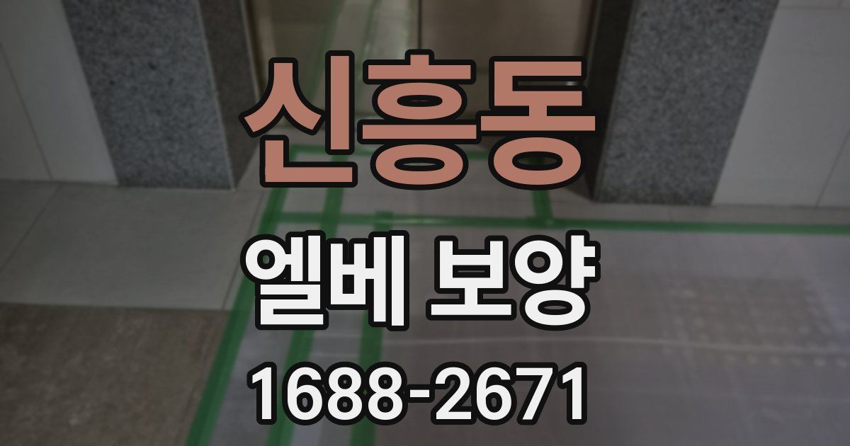 신흥동 엘베 보양