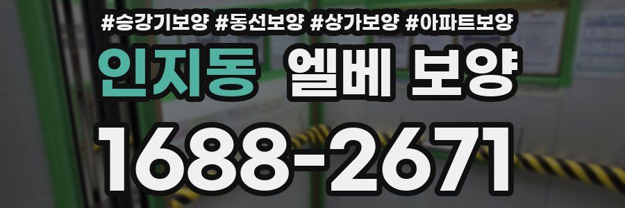 인지동 엘베 보양