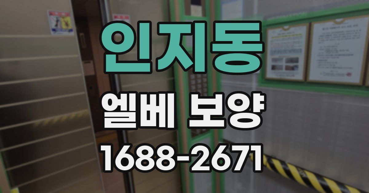 인지동 엘베 보양