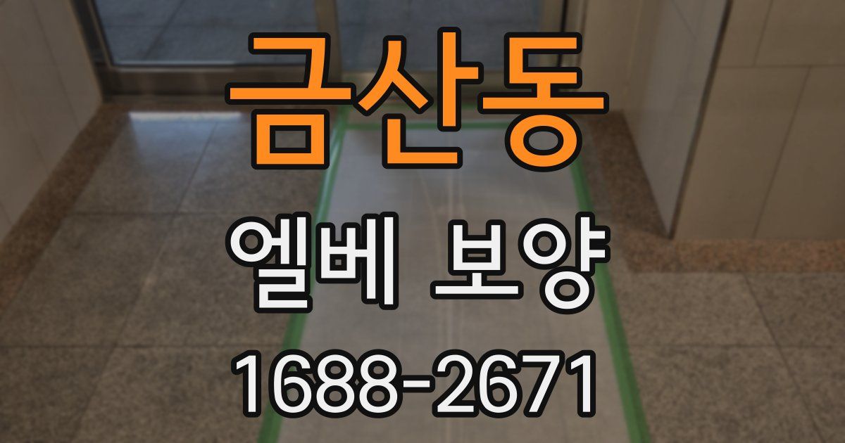 금산동 엘베 보양