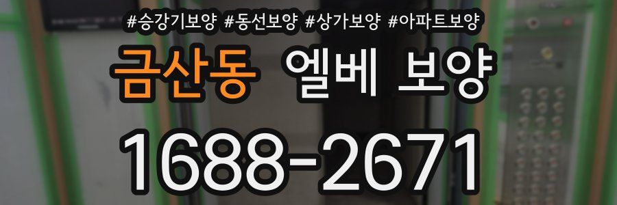 금산동 엘베 보양