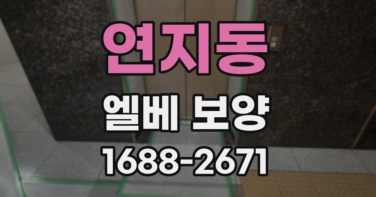 연지동 엘베 보양